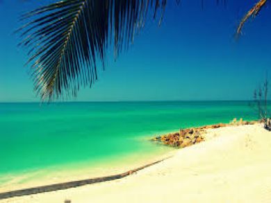 Fantastic 5 Bedroom Vacation Home that Sleeps 12 Guests.